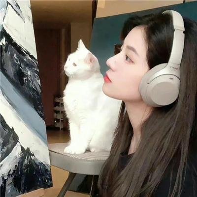 御猫三戏锦毛鼠